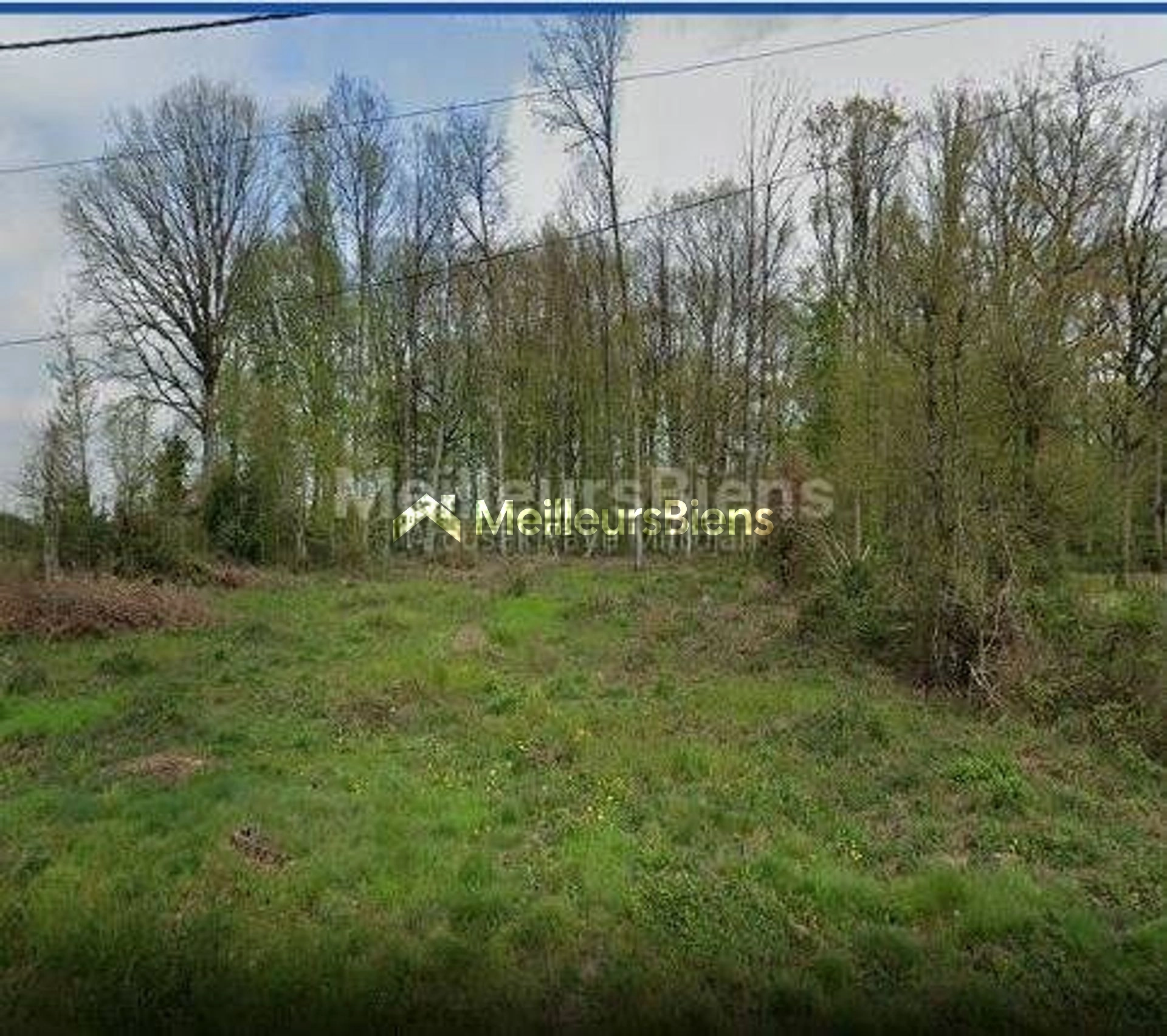 COURTENAY (45320) - DOMAINE STE ANNE - TERRAIN 2376 M² - VIABILISE ET CONSTRUCTIBLE - SEMI-BOISE -