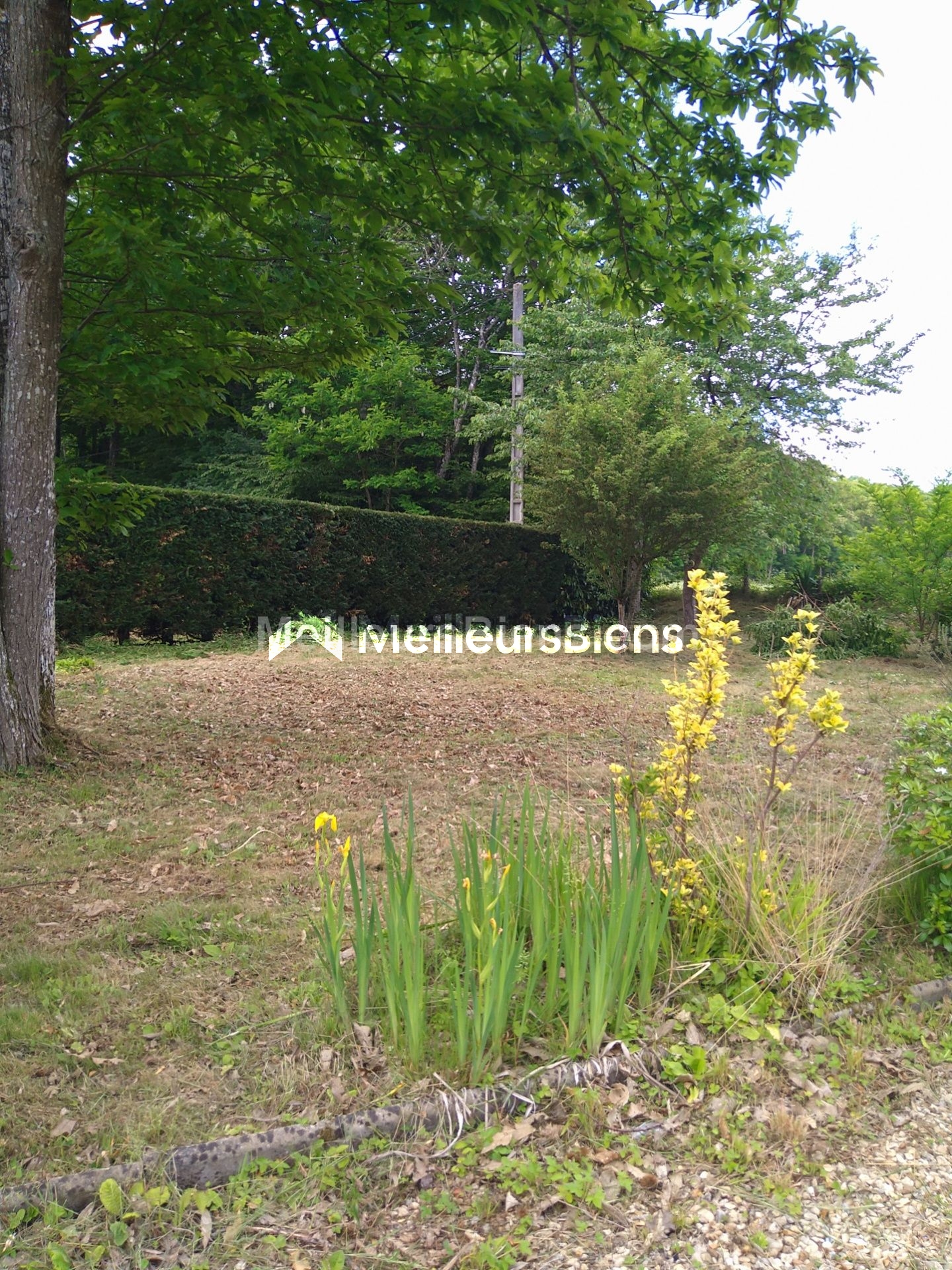 COURTENAY (45320) - DOMAINE STE ANNE - TERRAIN 2376 M² - VIABILISE ET CONSTRUCTIBLE - SEMI-BOISE -