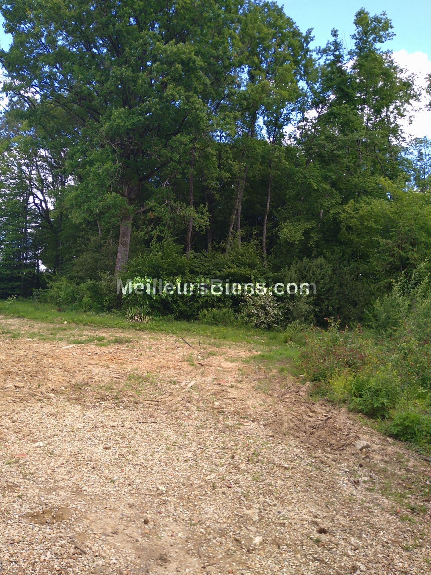 COURTENAY (45320) - DOMAINE STE ANNE - TERRAIN 2376 M² - VIABILISE ET CONSTRUCTIBLE - SEMI-BOISE -