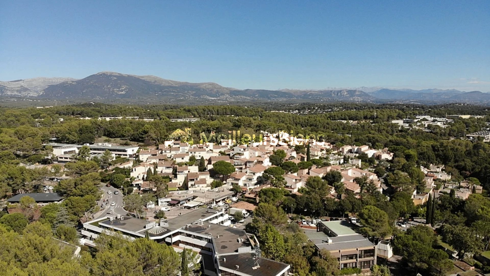 Sophia-Antipolis : Restaurant avec terrasse et véranda, emplacement premium