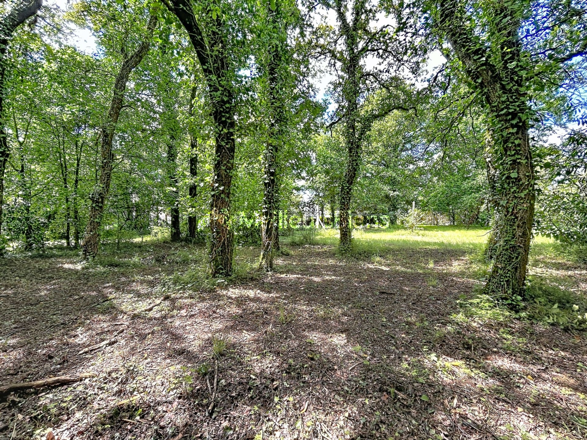 Lieuron 35550 : terrain constructible de 2054 m² à saisir