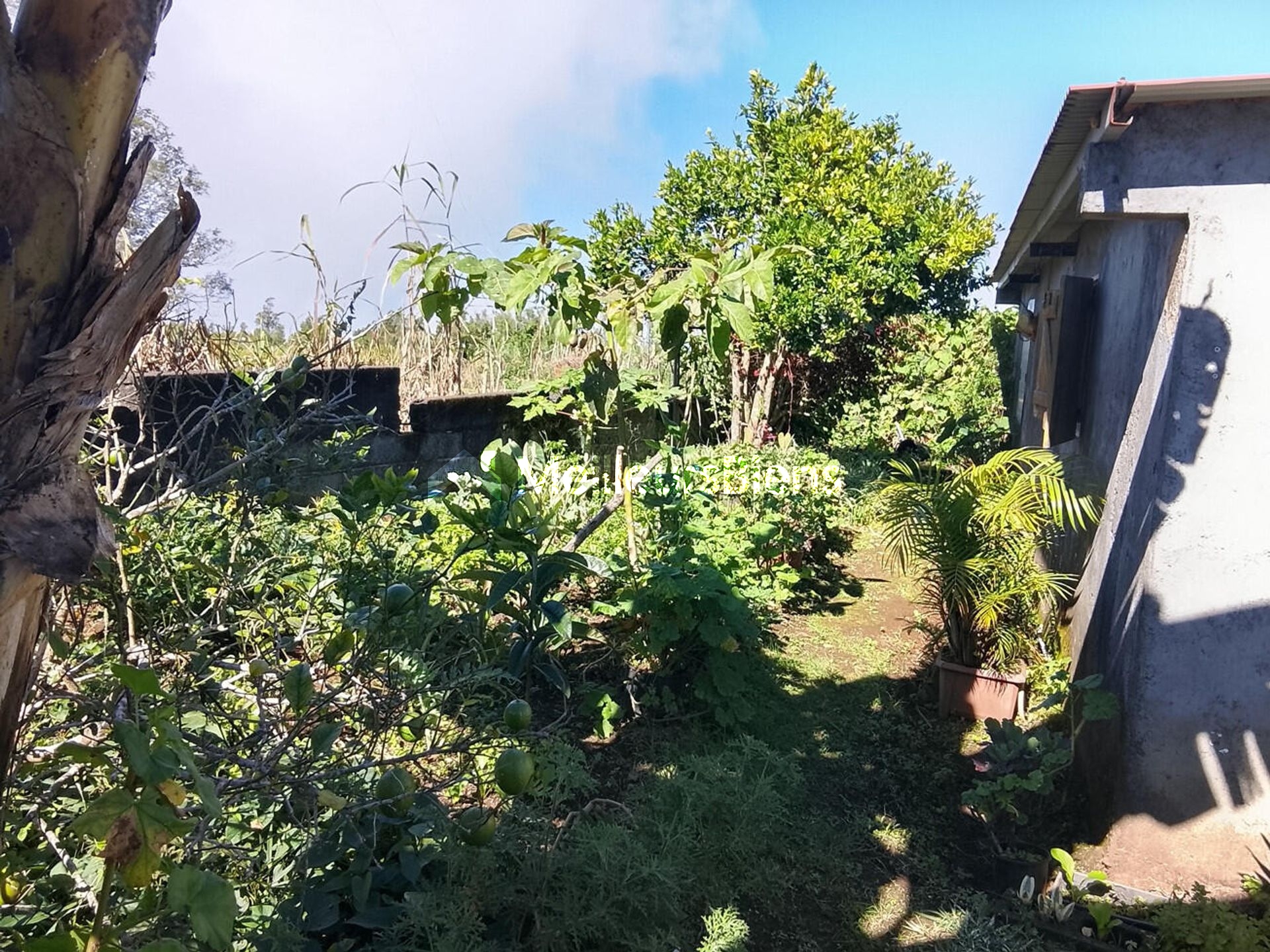 Maison F6 de plain pied, Terrain 312m2, ST JOSEPH 97480 /120 000€