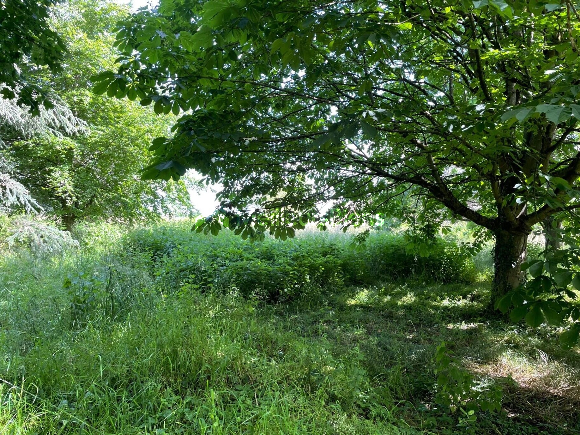 Grand terrain constructible de 3179 m² à Peyzieux-sur-Saône