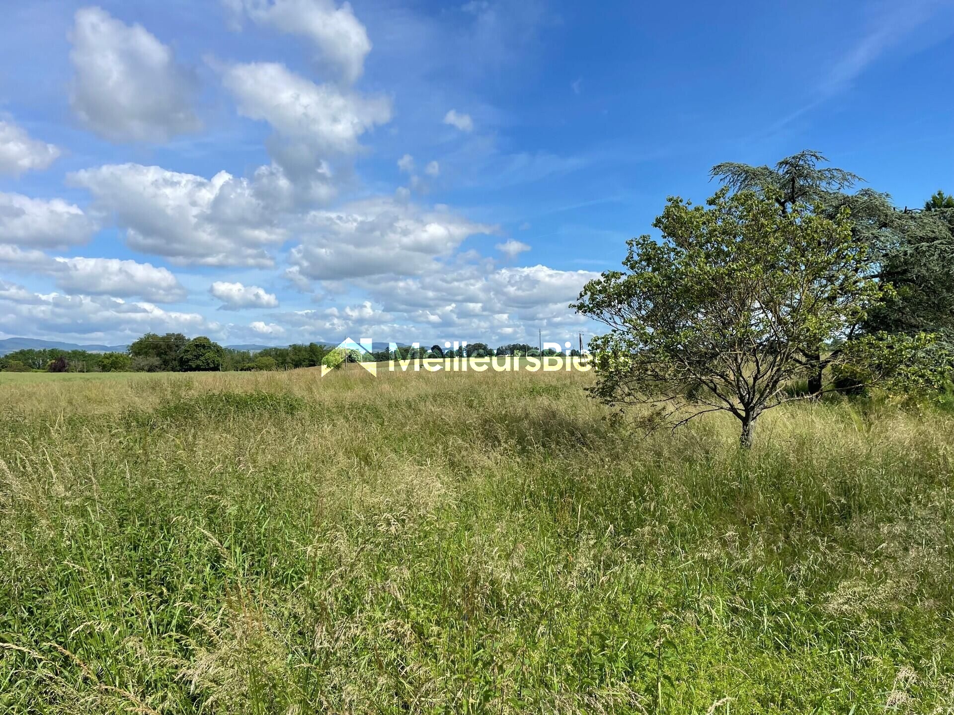 Grand terrain constructible de 3179 m² à Peyzieux-sur-Saône