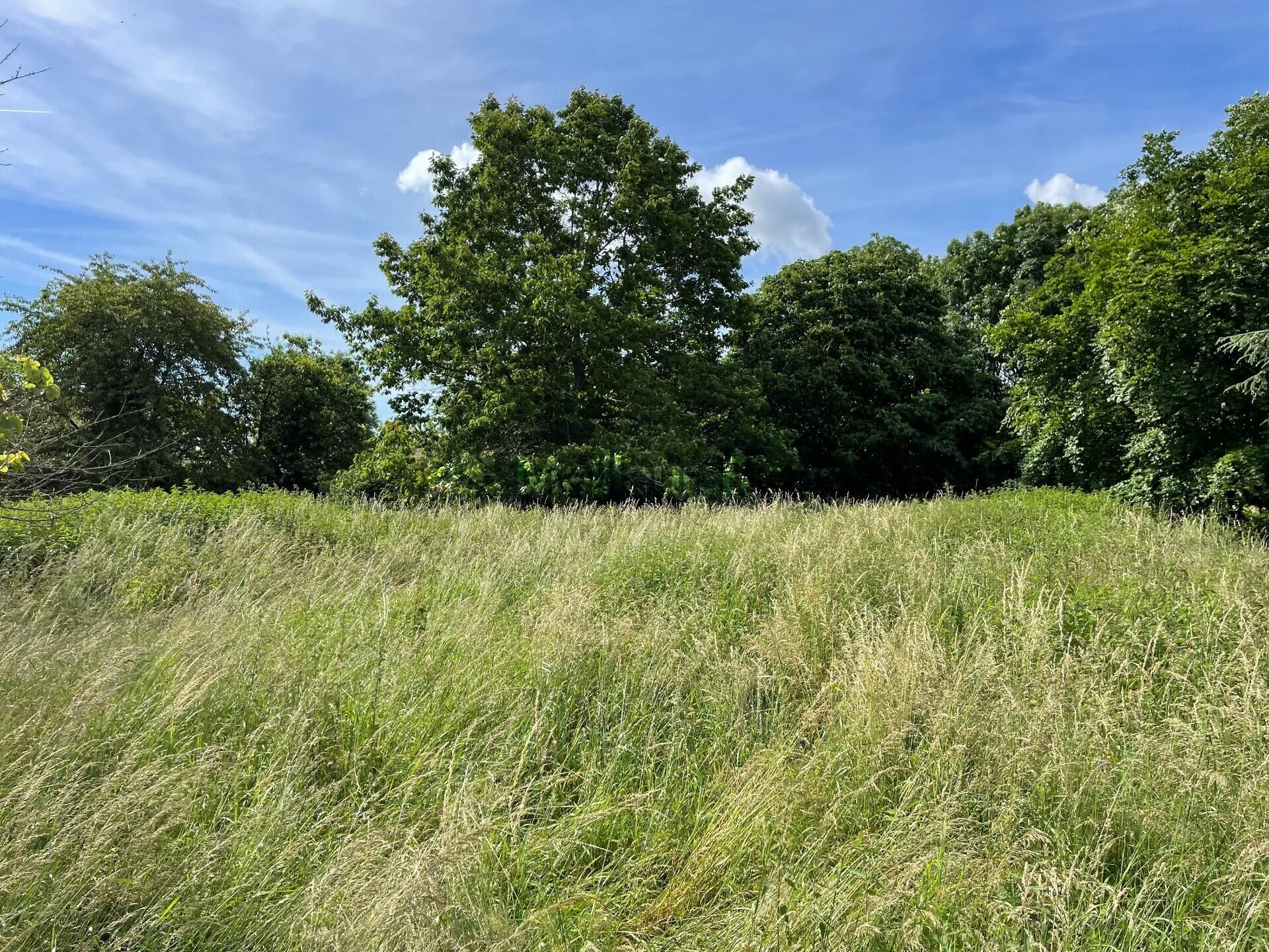 Grand terrain constructible de 3179 m² à Peyzieux-sur-Saône