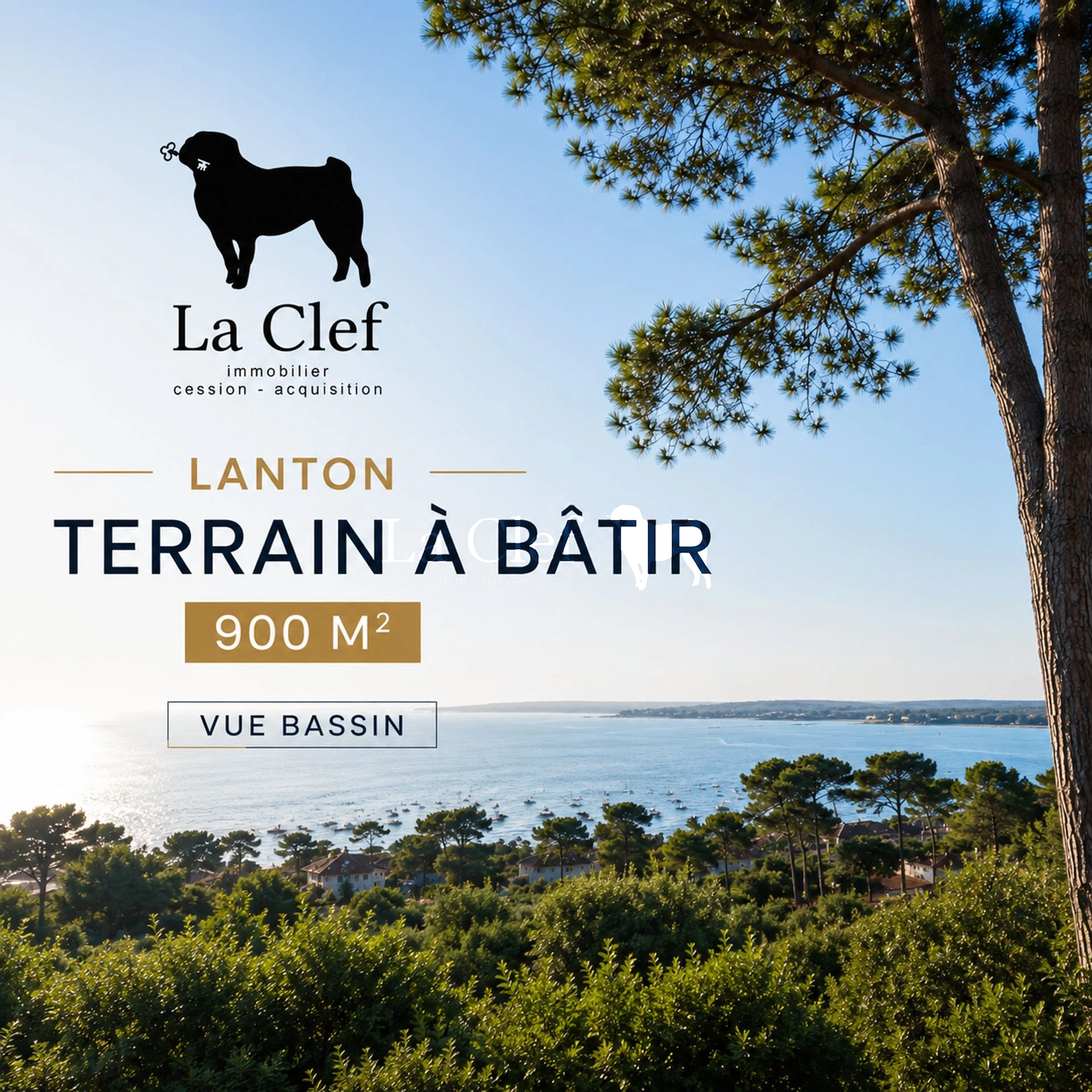LANTON TERRAIN  VIABILISE A BATIR  909 M²