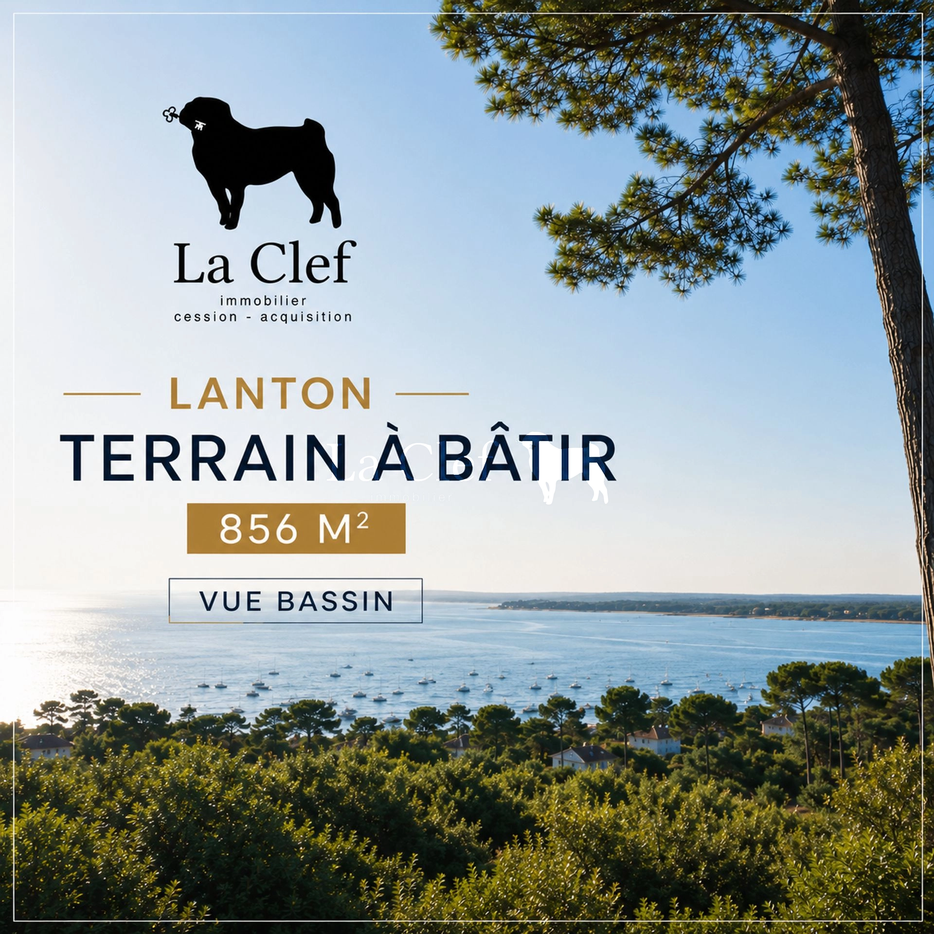 LANTON TERRAIN  VIABILISE A BATIR  856 M²