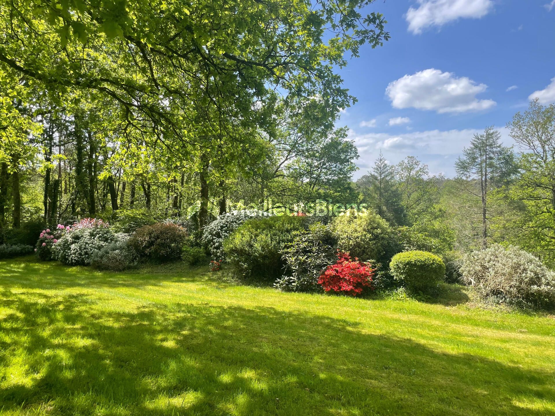 Magnifique propriété sur 1,6 hectares - Secteur recherché de Beignon