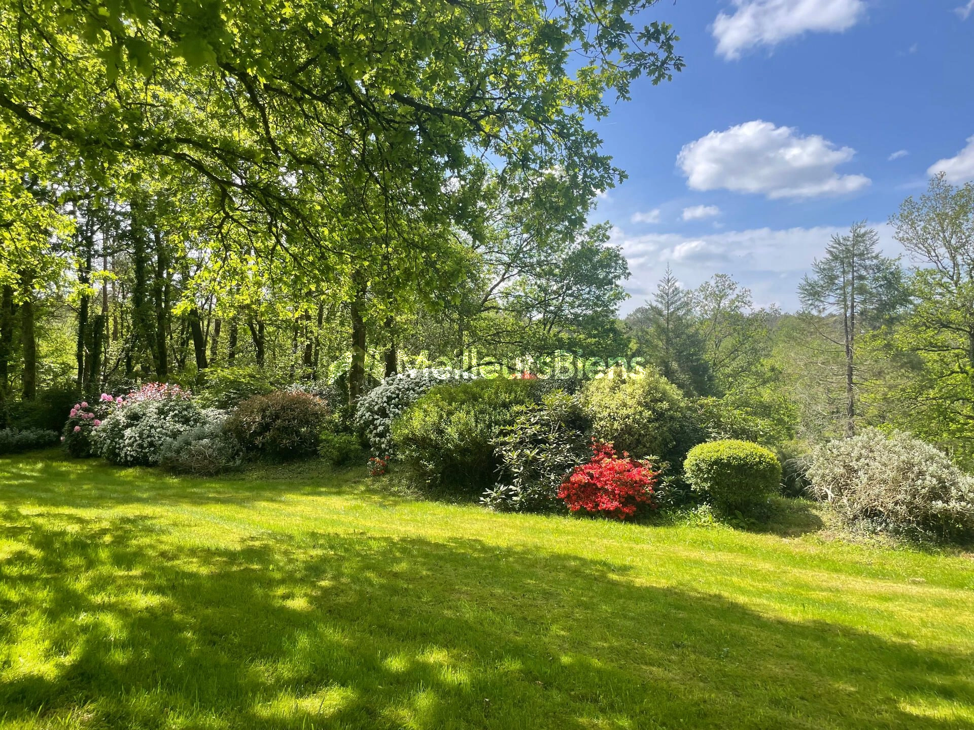 Magnifique propriété sur 1,6 hectares - Secteur recherché de Beignon