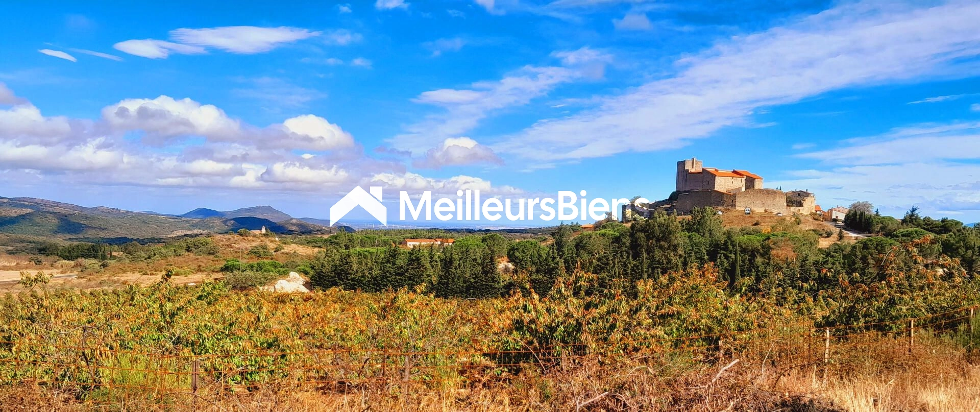 Terrain agricole 10 695 m² à Montalba-le-Château
