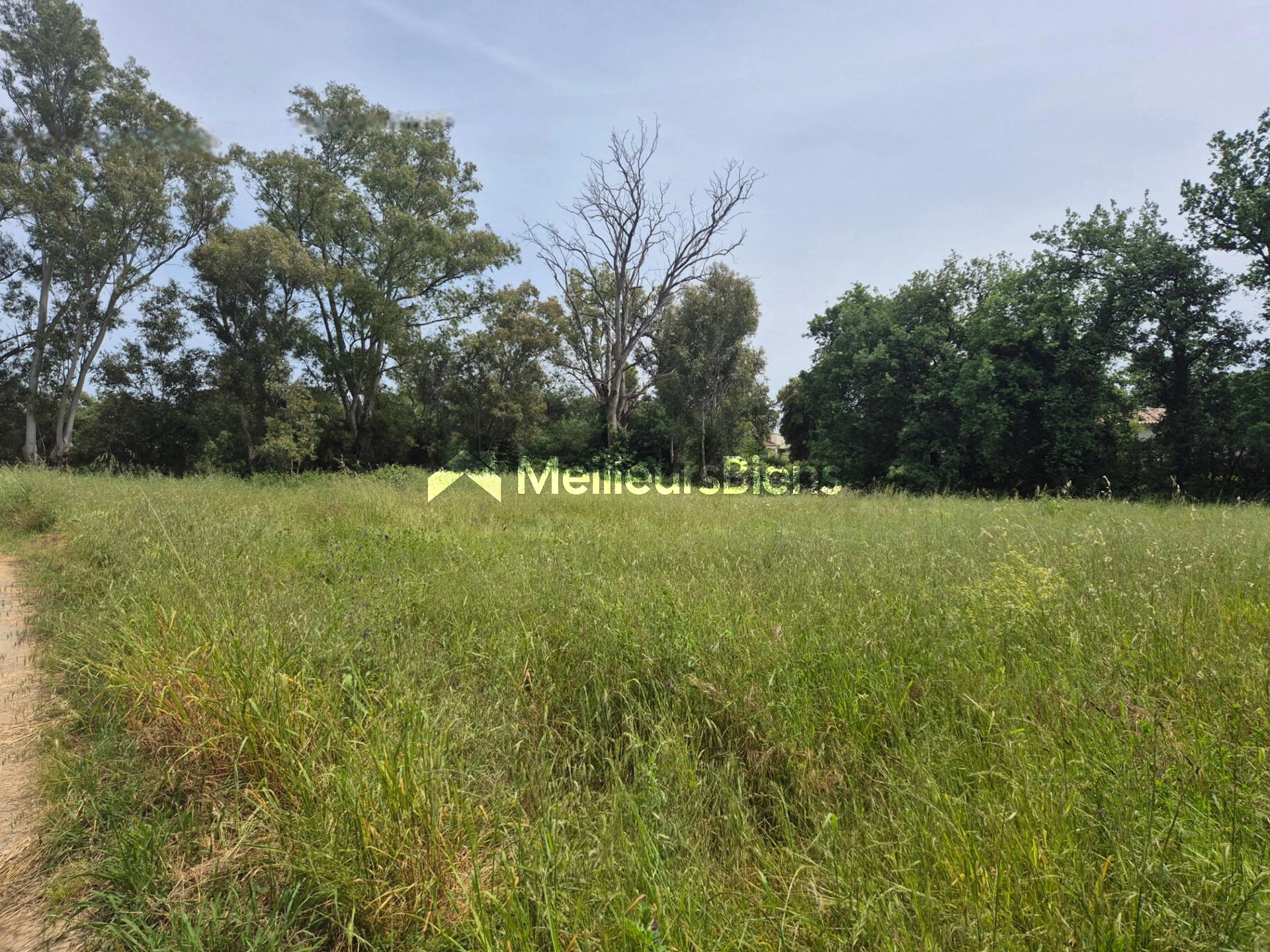 Très beau terrain constructible d'une superficie d'environ 3000m2 sur Prunelli di Fiurmorbu en plaine