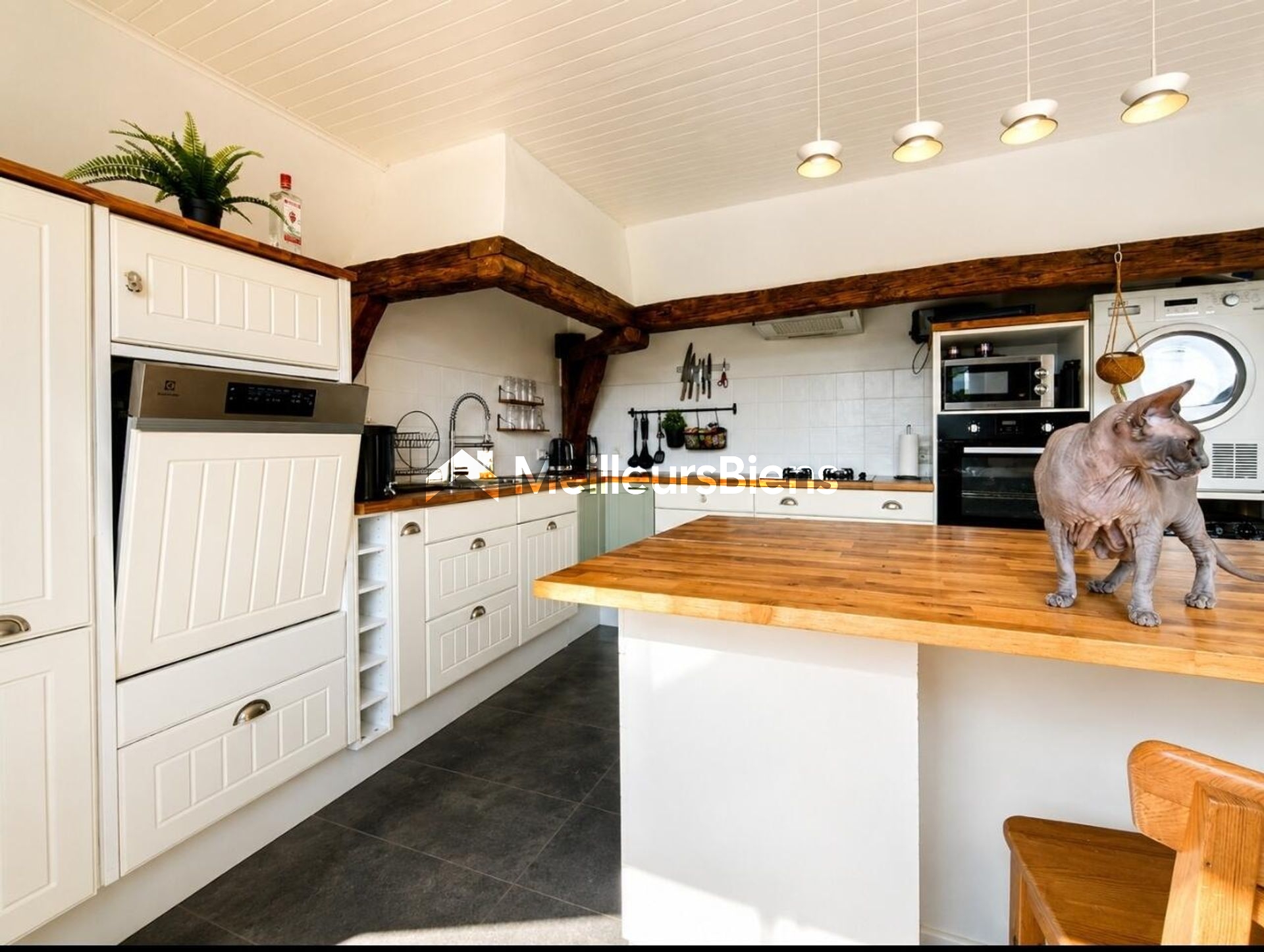 superbe appartement en plein centre de saint genis