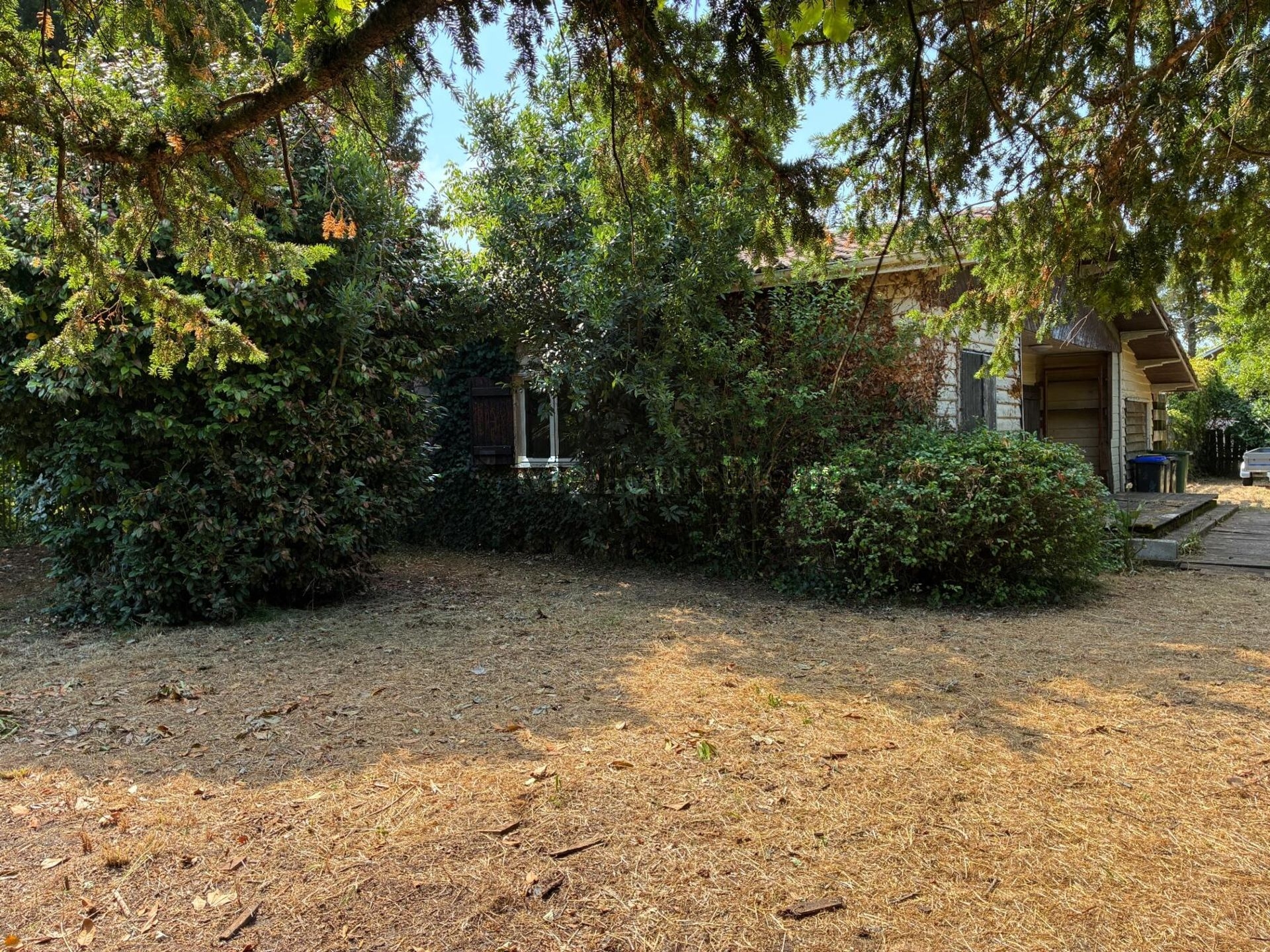 Lège-Cap-Ferret maison bois avec dépendances sur parcelle de 781 m²