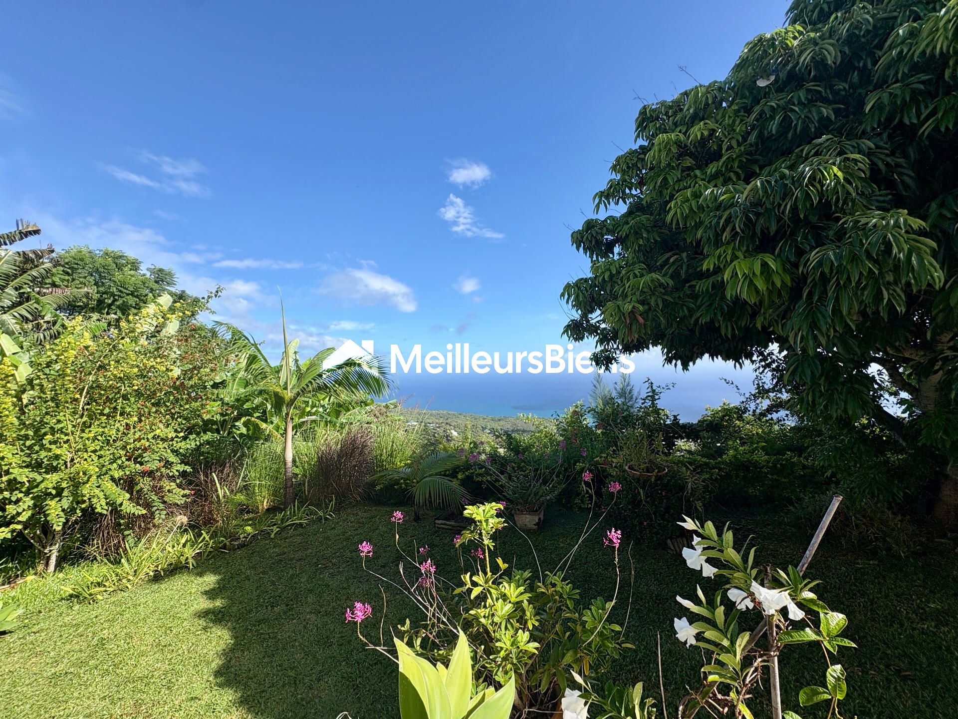 Propriété vue Océan – 2 Logements indépendants – Terrain 1 500 m²
