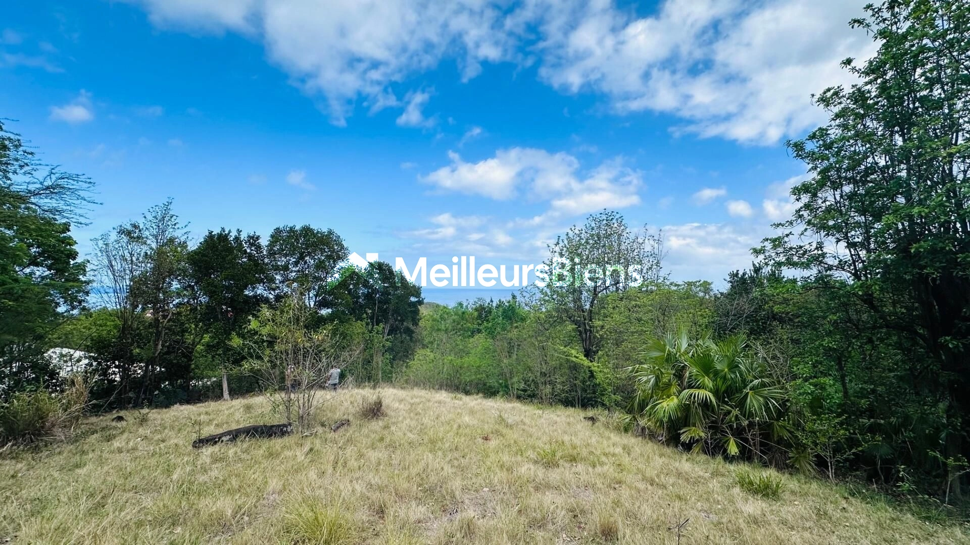 A VENDRE 3 TERRAINS  VUE MER  SUR BOUILLANTE