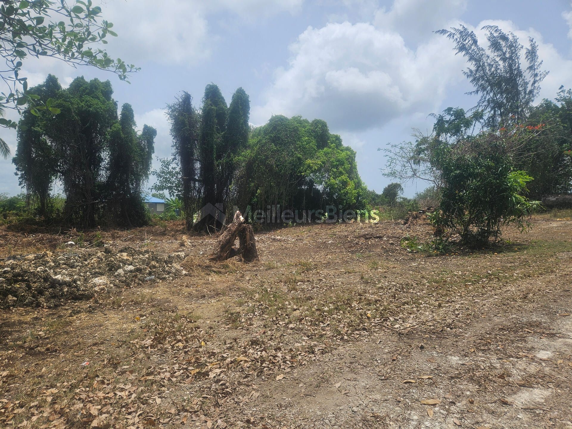Rare Moulin 1850 sur 9892m2 Sainte-Anne