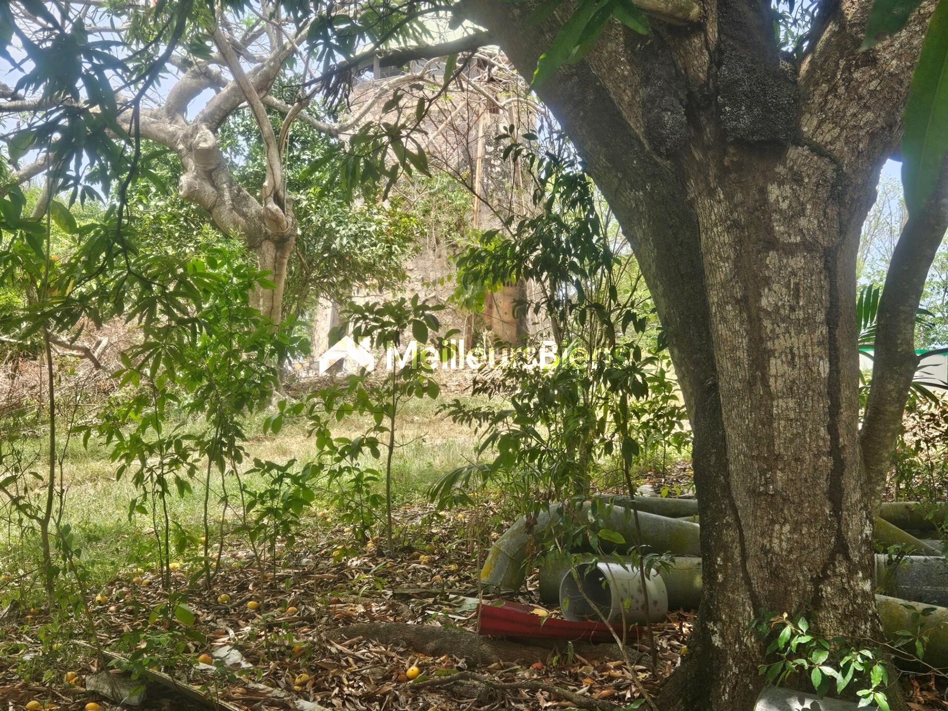 Rare Moulin 1850 sur 9892m2 Sainte-Anne