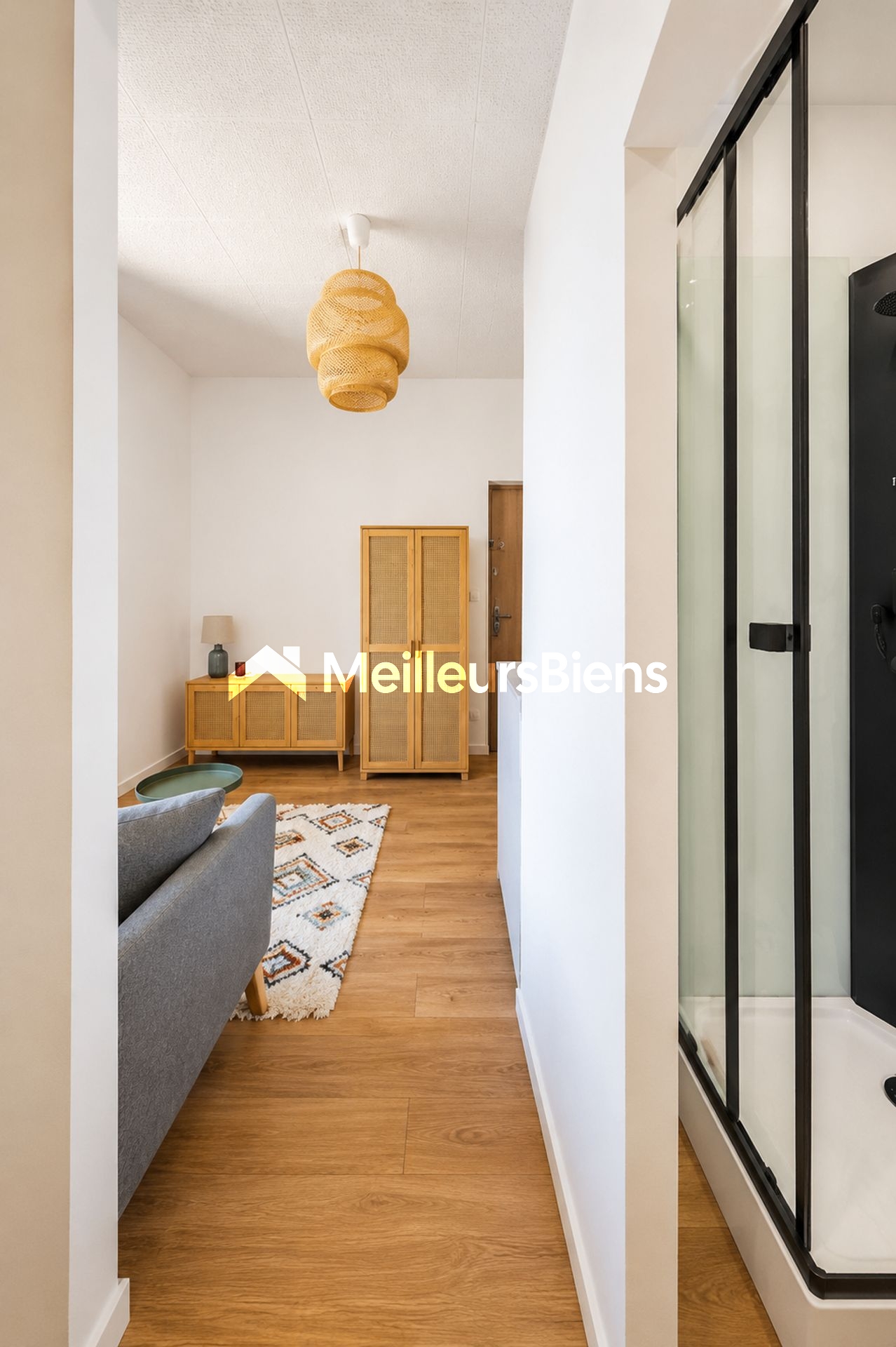 Location studio meublé rez-de-chaussée Dijon centre 1 pièce