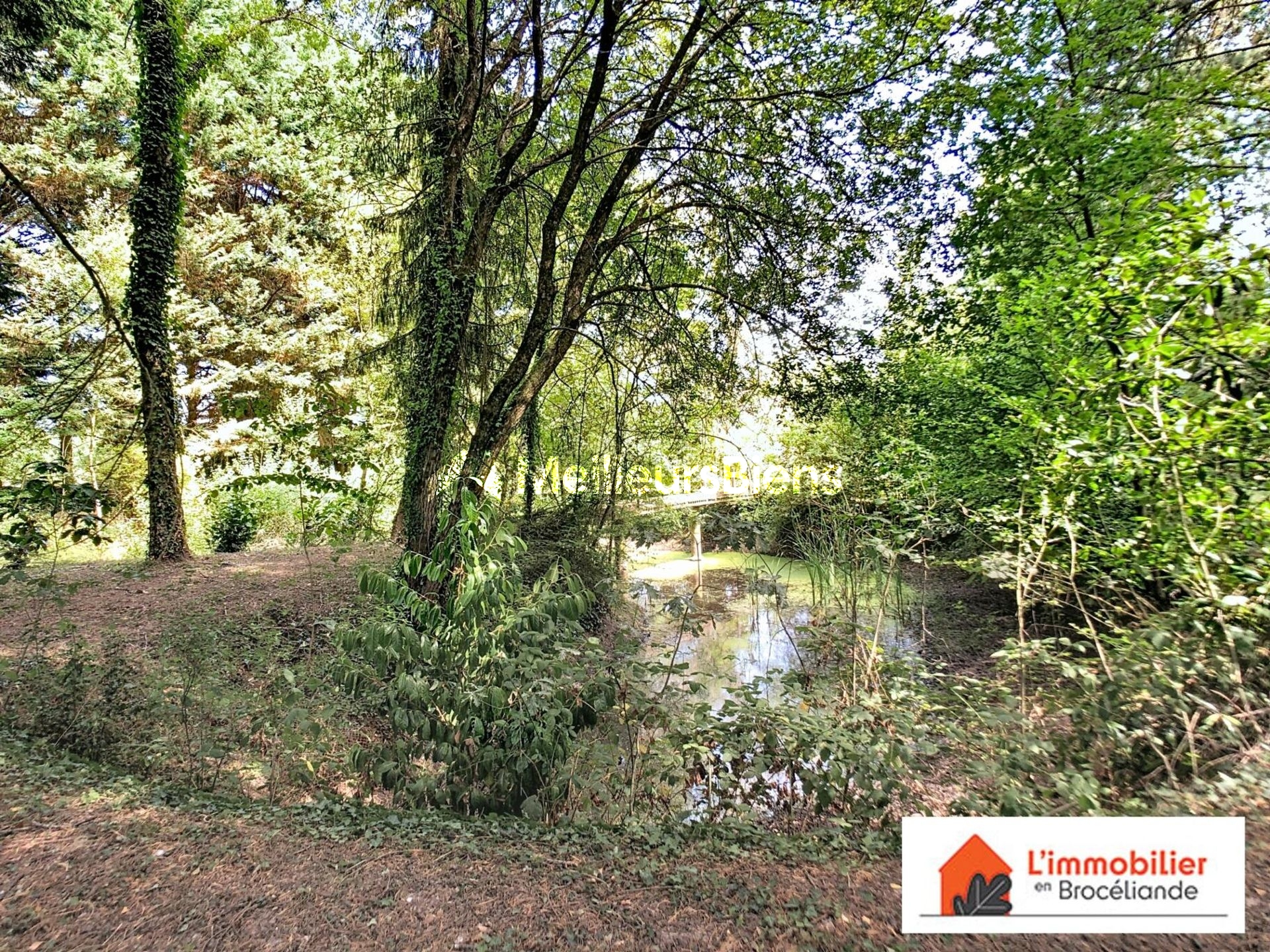 Charmante longère en Brocéliande sur 2 500m²
