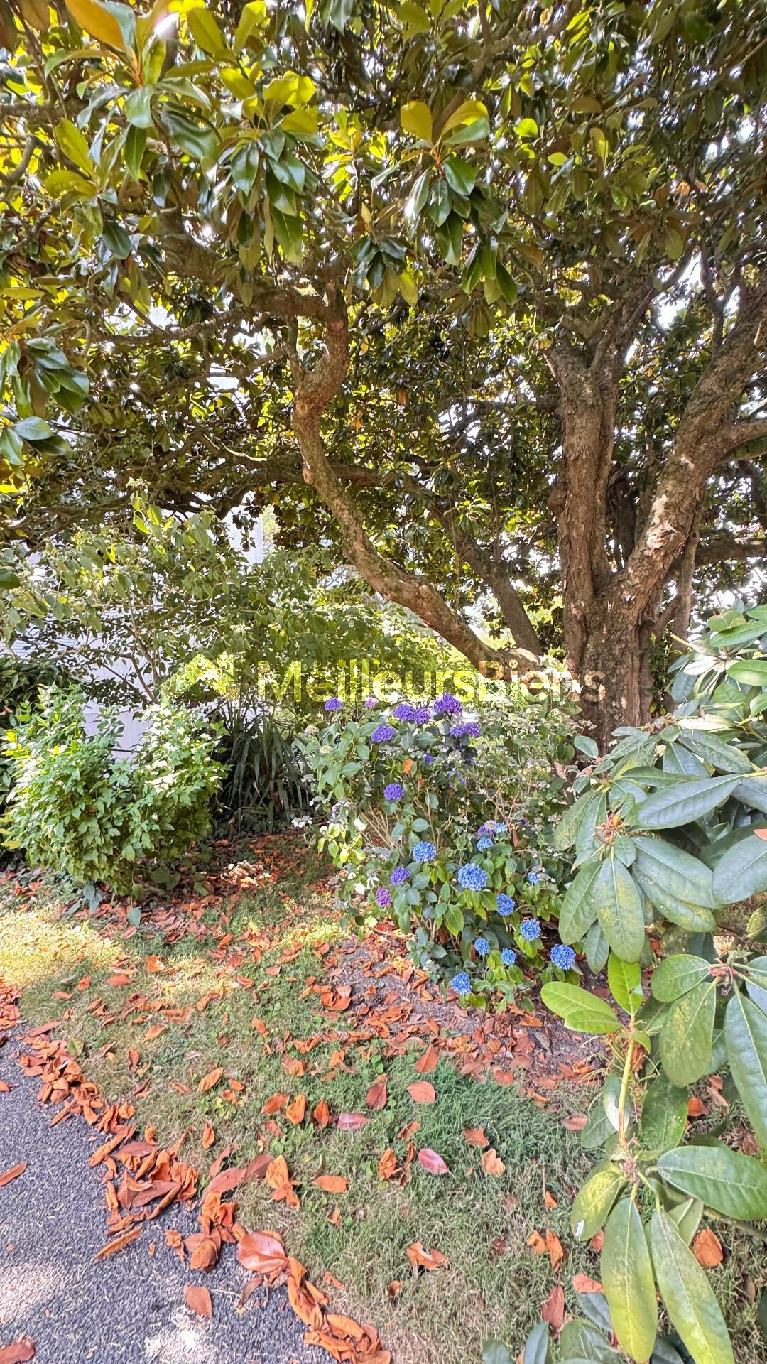 Exclusivité Auray – Appartement T4 de 78 m² avec loggia, vue parc, cave et parking