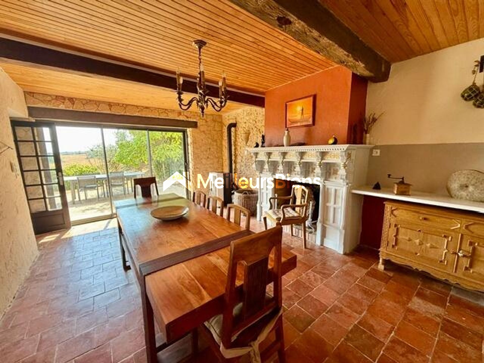 Labéjan - Exclusivité - Maison familiale avec vue Pyrénées, dépendances, verger et mare