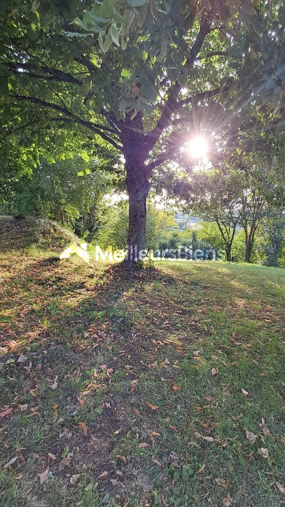 Fermette sur les coteaux de Salvagnac