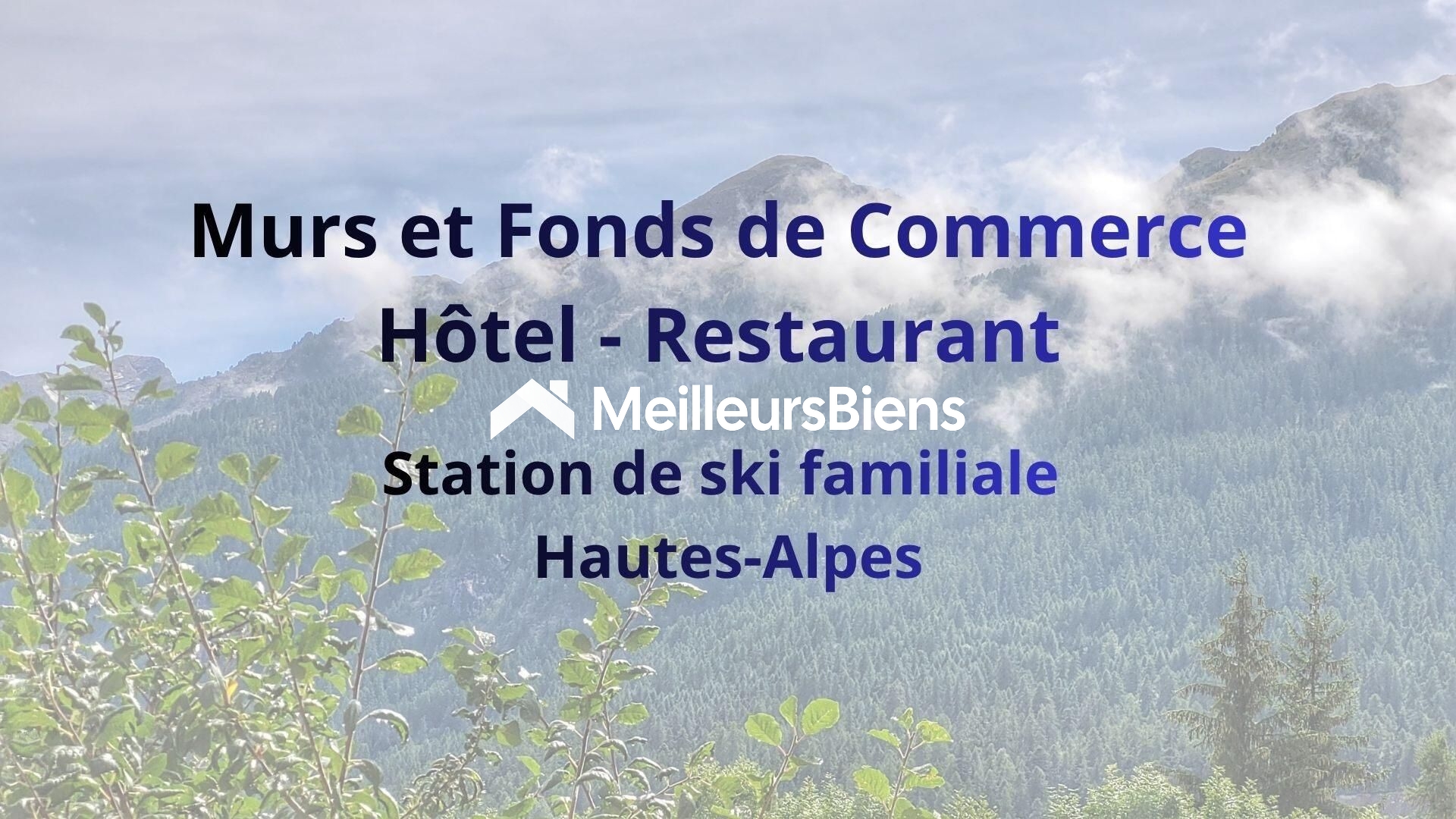 Local commercial 25 pièces 803 m² · à Ancelle · 803 m² · 852 000 €