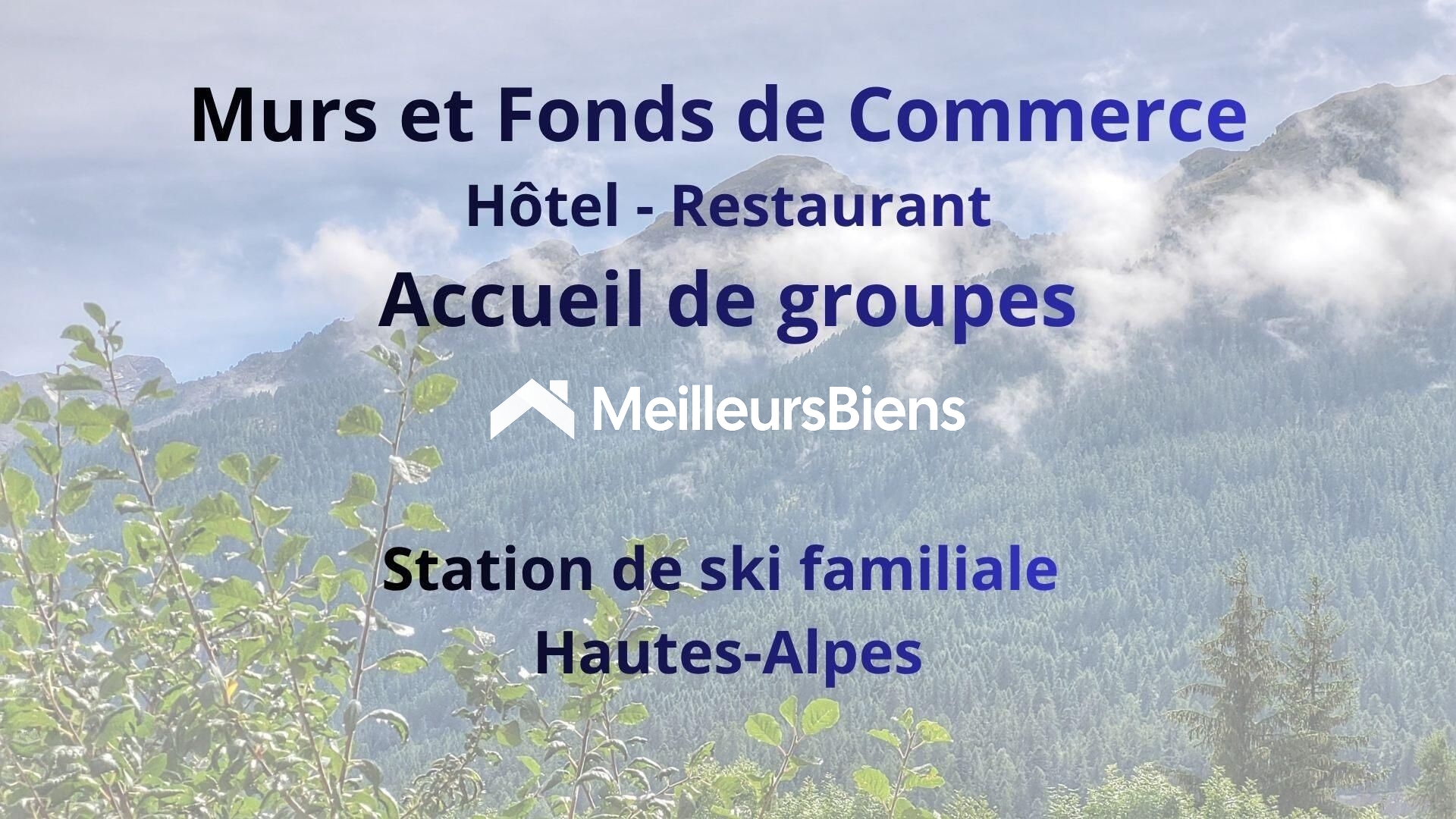 Local commercial 25 pièces 803 m² · à Ancelle · 803 m² · 852 000 €
