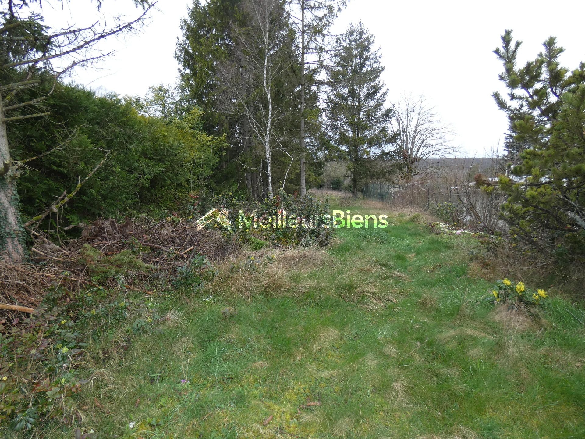 terrain à bâtir de 1743m² à buthiers (77760) meilleursbiens · 77 000 €