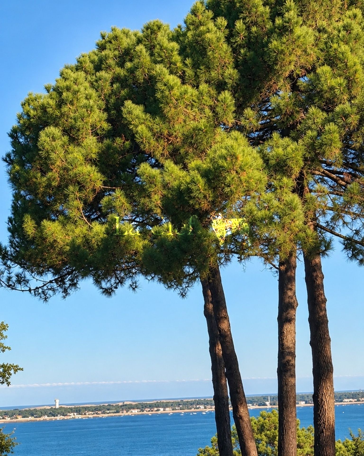 terrain à bâtir de 1000m² à la teste-de-buch (33115) meilleursbiens · 1 450 000 €