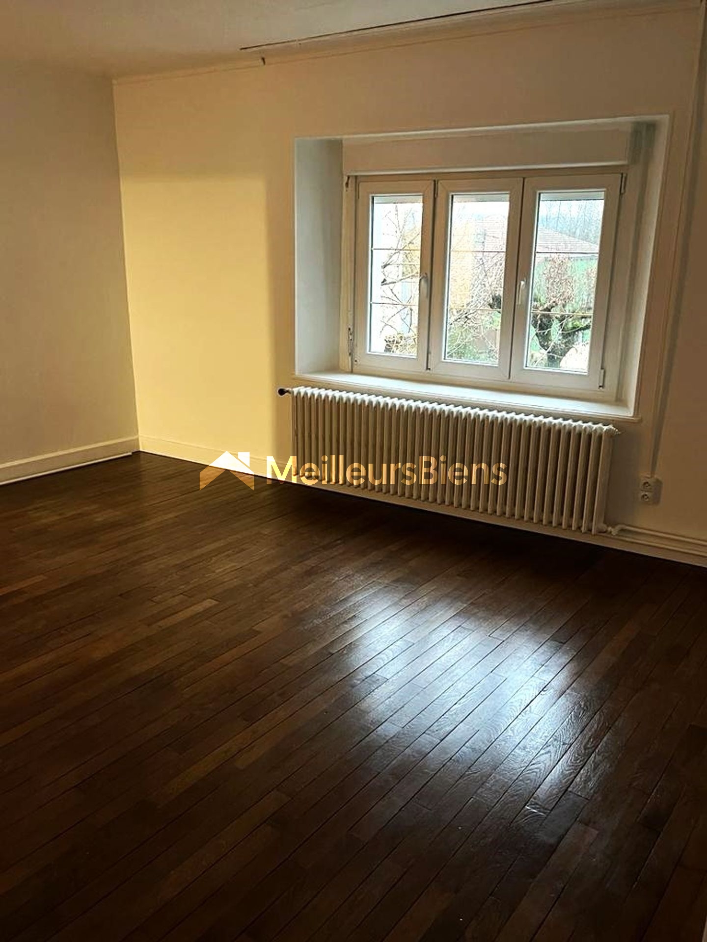 Maison 11 pièces 532 m² · à Bourbonne-les-Bains · 532 m² · 170 000 €
