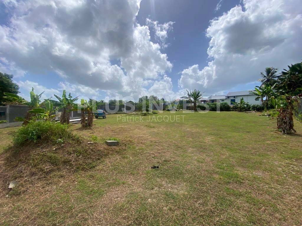 Beau Terrain Plat Baie-Mahault