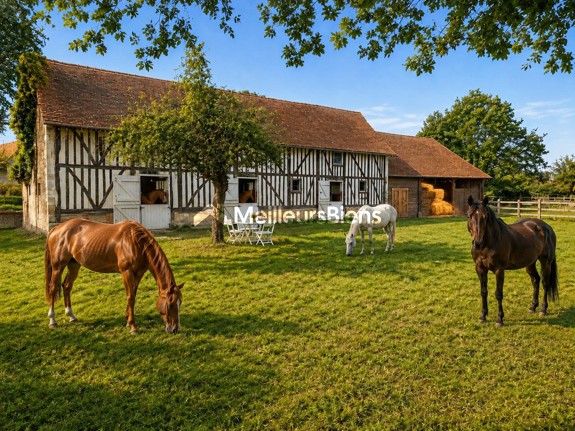 🏡 Propriété de caractère – Écuries, grange et 1,5 hectare – Normandie