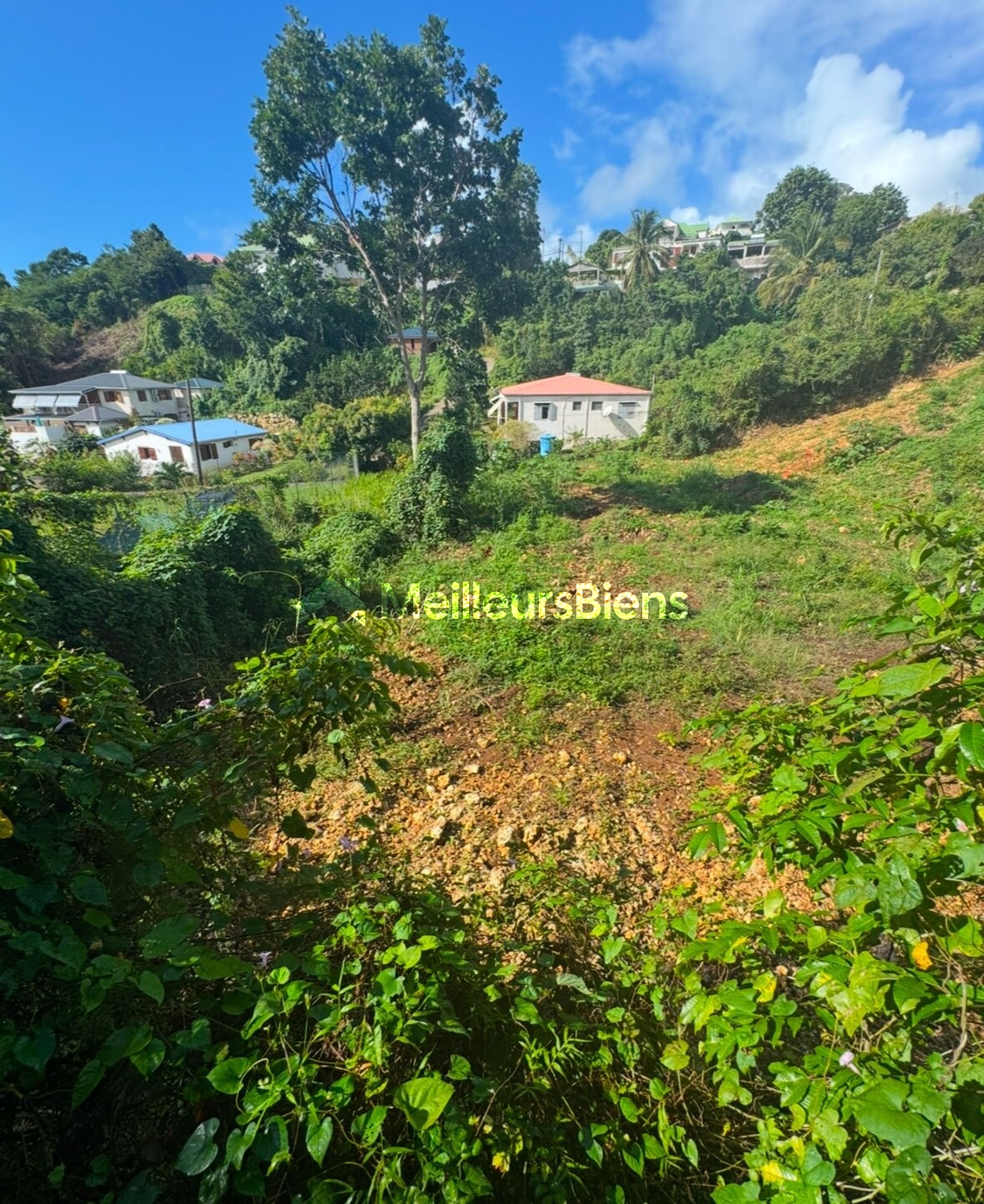 Terrain de 595 m² avec Projet de Construction - Secteur Calme au Gosier