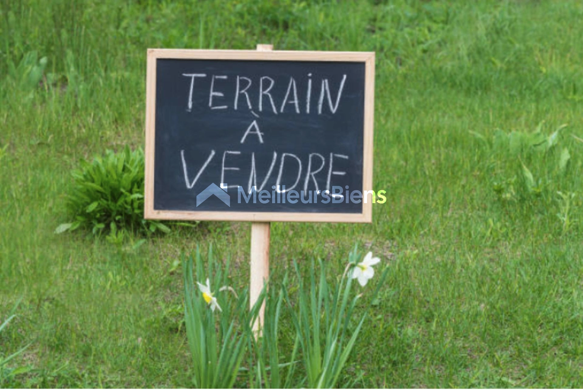 Terrain constructible avec box fermé